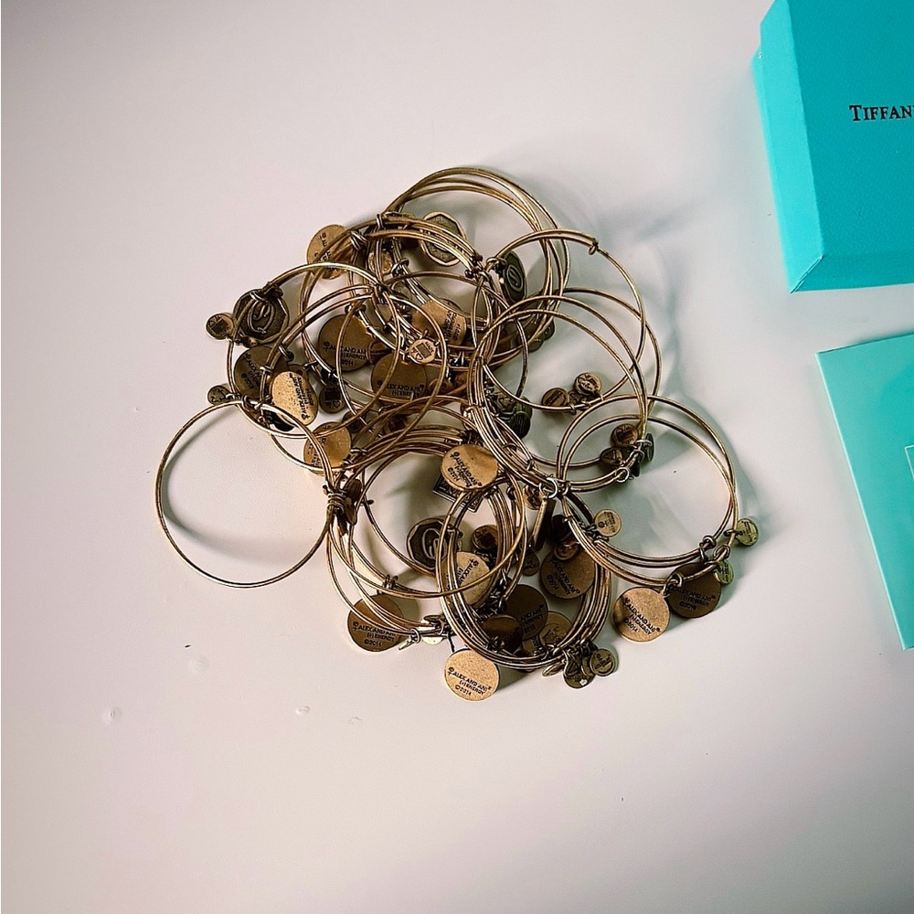 Alex and Ani Gold-Tone Charm Bangle Bracelet Set 25 bracelets